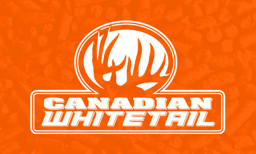 Canadian Whitetail